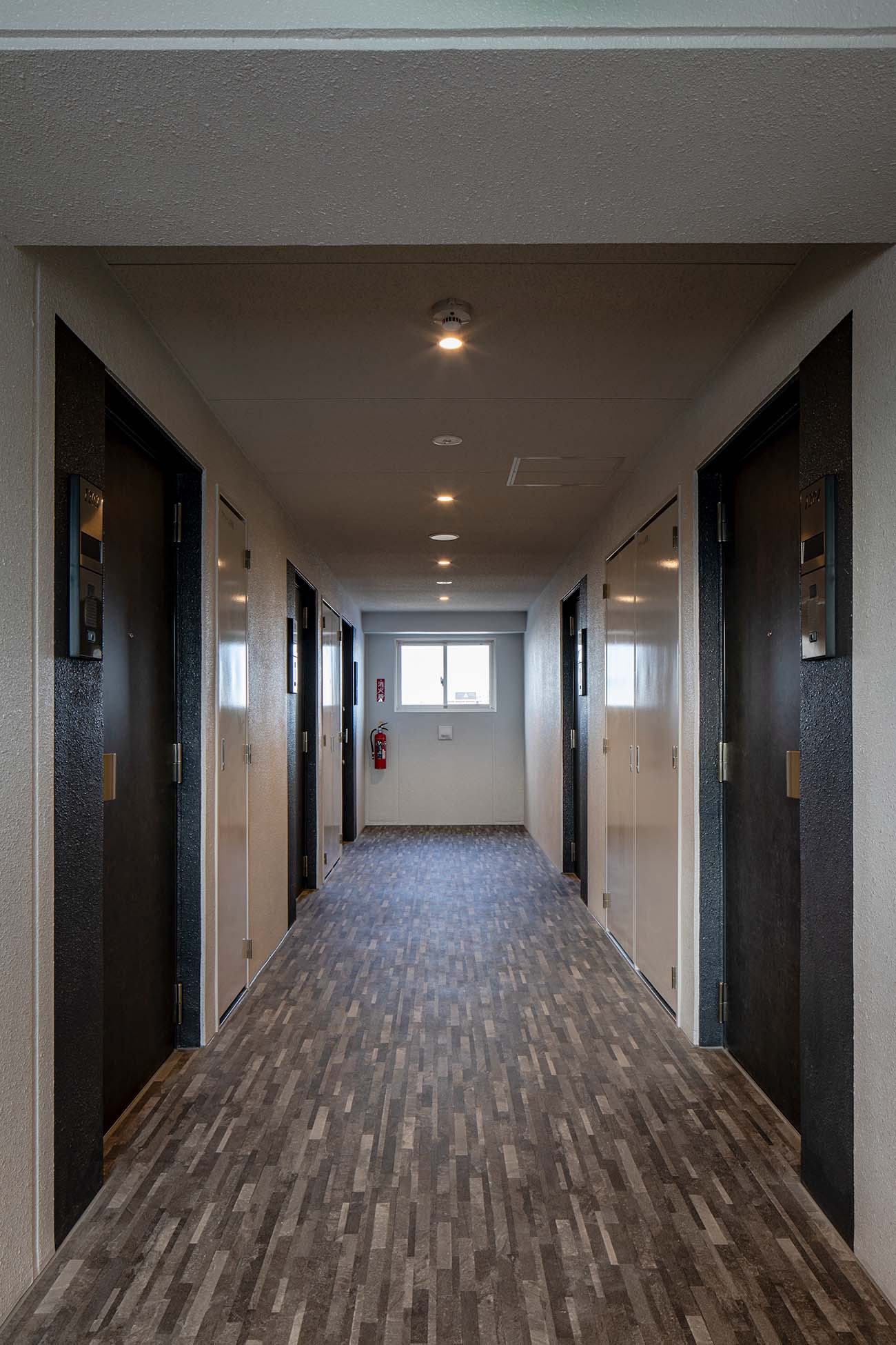 ディアレイシャス金山